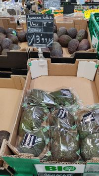 Febrero-Hass España